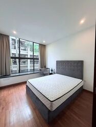 Holland Link (D10), Terrace #554146381